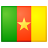 flag_cameroon.png