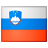 flag_slovenia.png