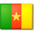 flag_cameroon.png