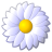 flower_white.png