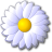 flower_white.png