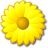 flower_yellow.png