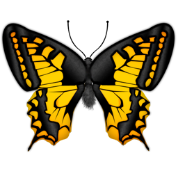 Butterfly.png