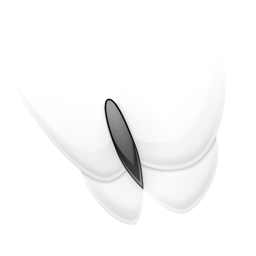 papillon-MSN.png