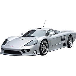 saleen.png