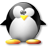 penguin.png