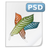 psd.png