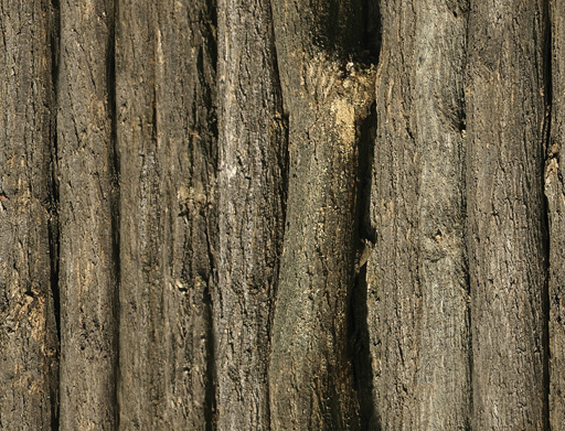 texture_pp09.jpg